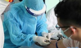 越南肺炎最新爆料,疫情动态与防控措施全解析